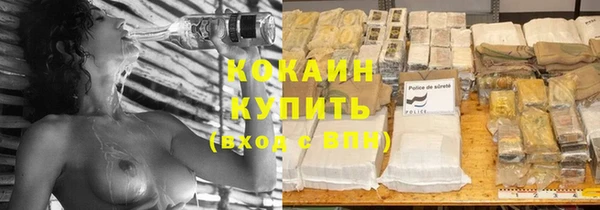 прущая мука Пересвет