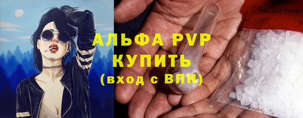 прущая мука Пересвет