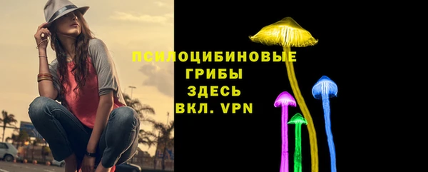 mdpv Пестово