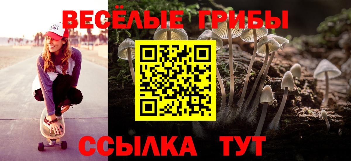 Псилоцибиновые грибы Psilocybe Кудымкар