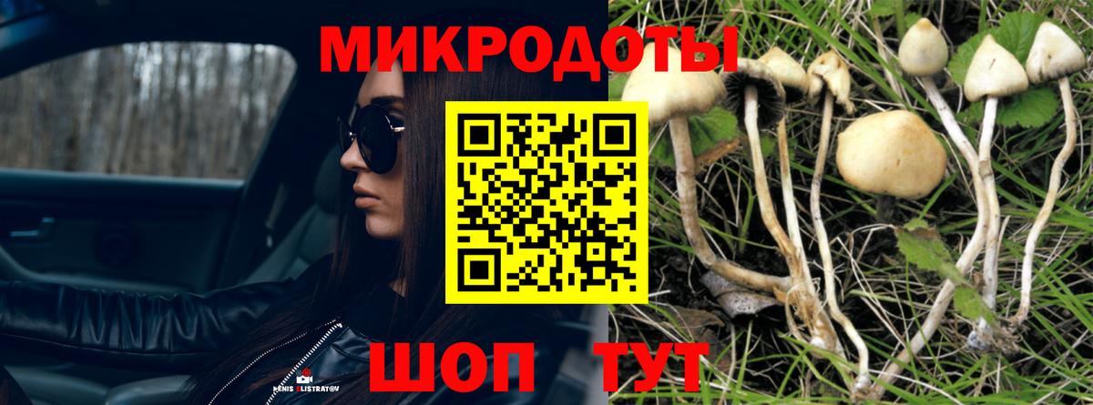 Галлюциногенные грибы прущие грибы  Вход с VPN  Кудымкар 